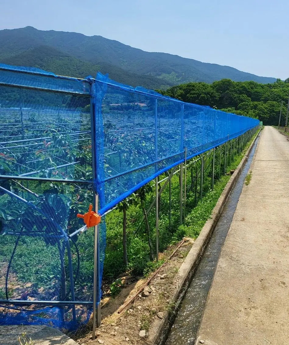 과수원 둘레에 설치한 청색 방충망