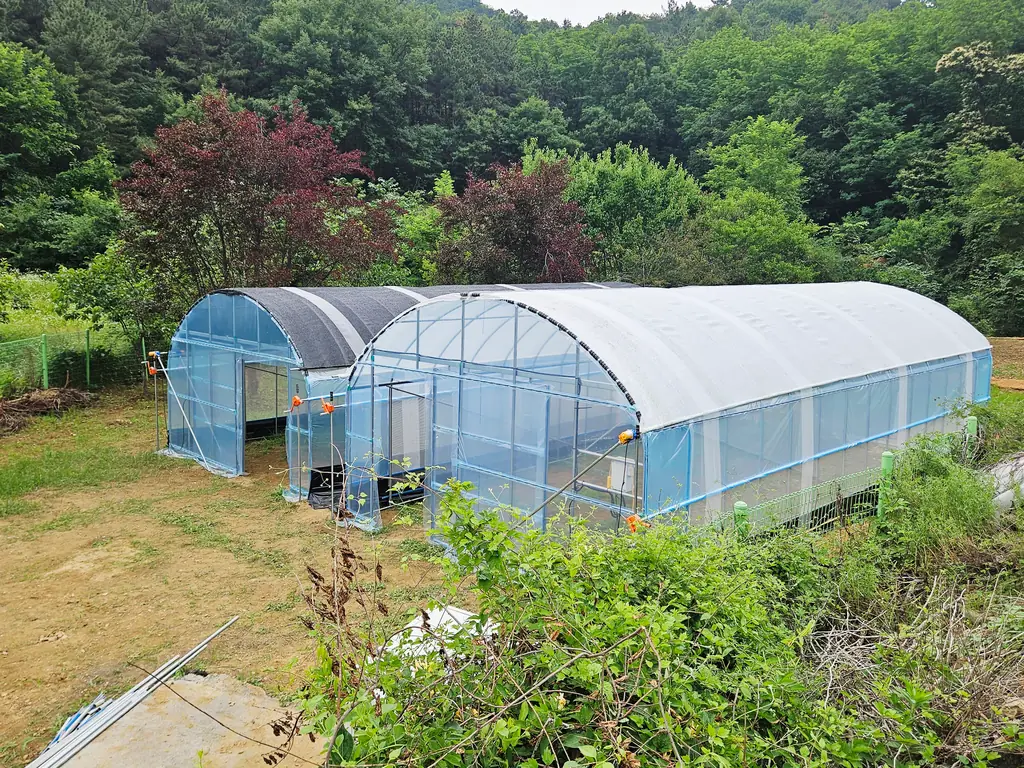 The two test greenhouses at the net research building, early in the test