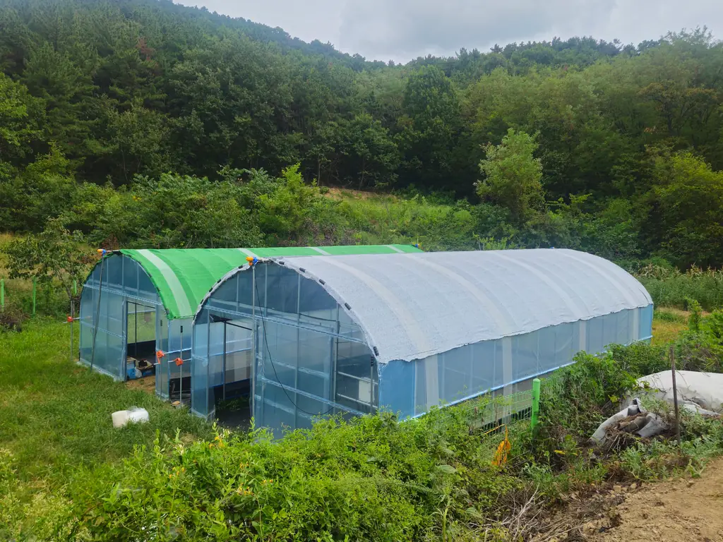 The two test greenhouses at the net research building, late in the test